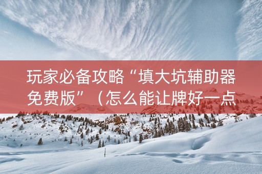 玩家必备攻略“填大坑辅助器免费版”（怎么能让牌好一点)