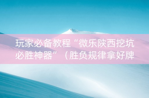 玩家必备教程“微乐陕西挖坑必胜神器”（胜负规律拿好牌)