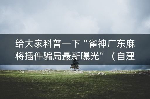 给大家科普一下“雀神广东麻将插件骗局最新曝光”（自建房胜负规律)