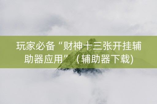 玩家必备“财神十三张开挂辅助器应用”（辅助器下载)