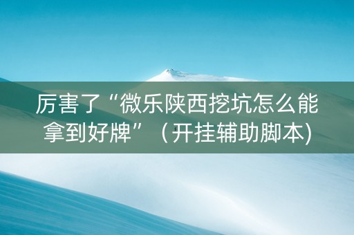 厉害了“微乐陕西挖坑怎么能拿到好牌”（开挂辅助脚本)