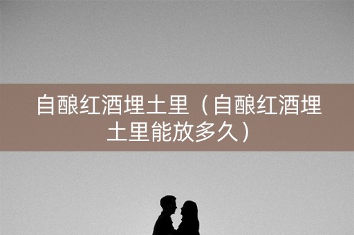 自酿红酒埋土里（自酿红酒埋土里能放多久）