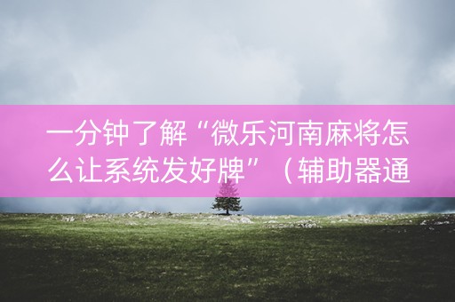 一分钟了解“微乐河南麻将怎么让系统发好牌”（辅助器通用版)