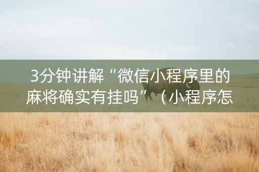 3分钟讲解“微信小程序里的麻将确实有挂吗”（小程序怎么才会赢)