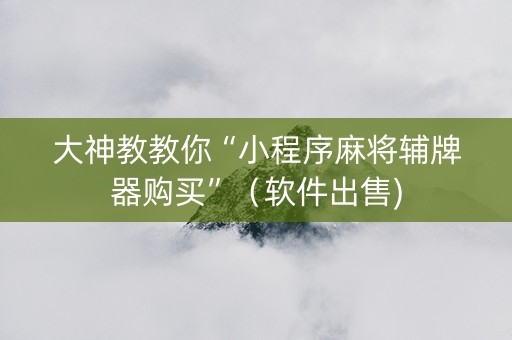大神教教你“小程序麻将辅牌器购买”（软件出售)
