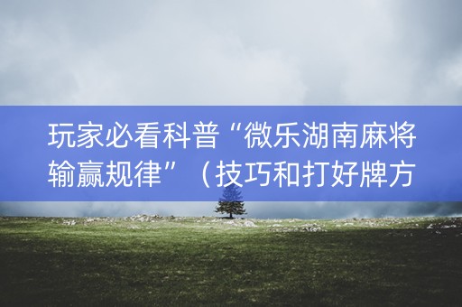 玩家必看科普“微乐湖南麻将输赢规律”（技巧和打好牌方法)