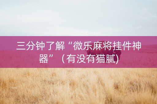 三分钟了解“微乐麻将挂件神器”（有没有猫腻)