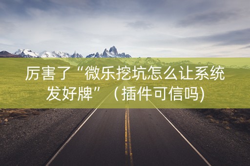 厉害了“微乐挖坑怎么让系统发好牌”（插件可信吗)