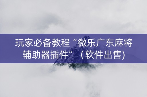 玩家必备教程“微乐广东麻将辅助器插件”（软件出售)