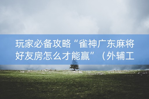 玩家必备攻略“雀神广东麻将好友房怎么才能赢”（外辅工具)