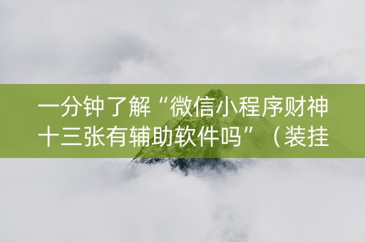 一分钟了解“微信小程序财神十三张有辅助软件吗”（装挂怎么安装)