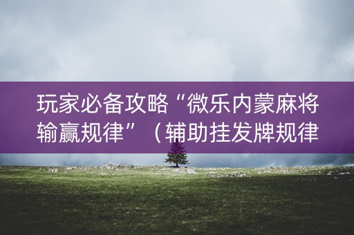 玩家必备攻略“微乐内蒙麻将输赢规律”（辅助挂发牌规律)
