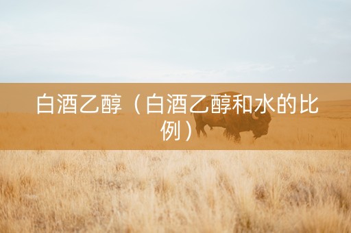 白酒乙醇（白酒乙醇和水的比例）