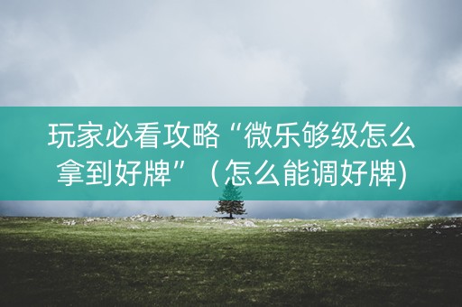 玩家必看攻略“微乐够级怎么拿到好牌”（怎么能调好牌)