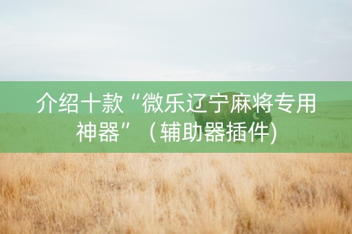 介绍十款“微乐辽宁麻将专用神器”（辅助器插件)