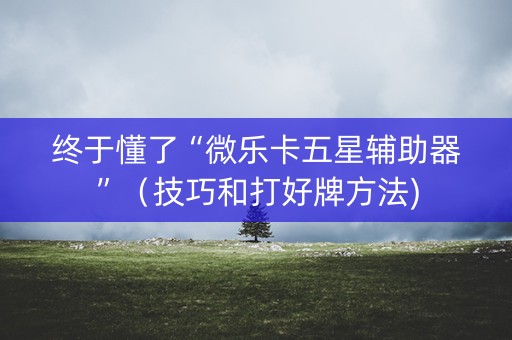 终于懂了“微乐卡五星辅助器”（技巧和打好牌方法)