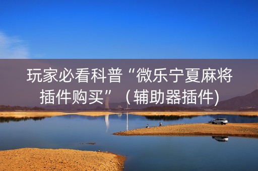玩家必看科普“微乐宁夏麻将插件购买”（辅助器插件)