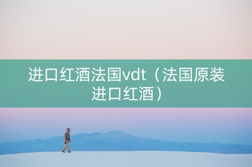 进口红酒法国vdt（法国原装进口红酒）