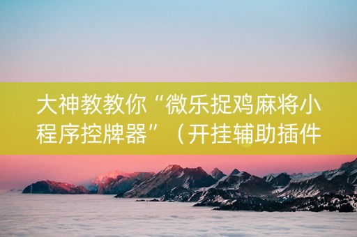 大神教教你“微乐捉鸡麻将小程序控牌器”（开挂辅助插件)
