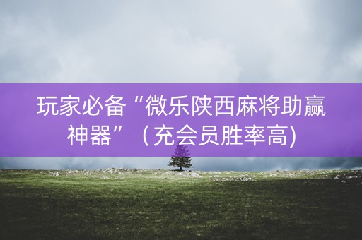 玩家必备“微乐陕西麻将助赢神器”（充会员胜率高)