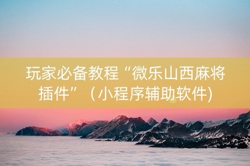 玩家必备教程“微乐山西麻将插件”（小程序辅助软件)