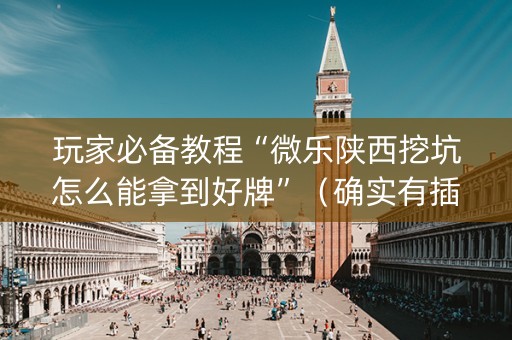 玩家必备教程“微乐陕西挖坑怎么能拿到好牌”（确实有插件吗)