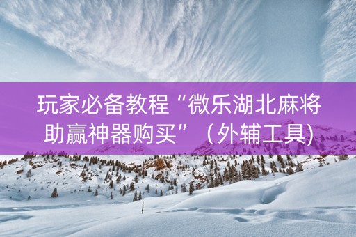 玩家必备教程“微乐湖北麻将助赢神器购买”（外辅工具)