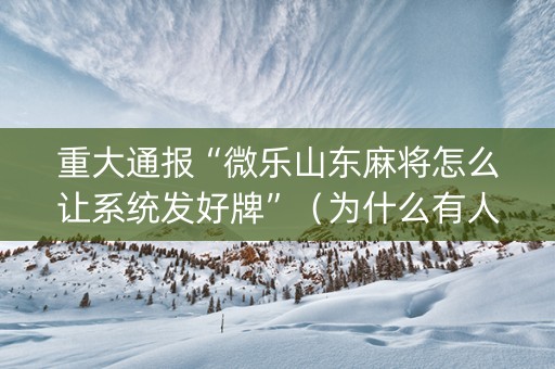 重大通报“微乐山东麻将怎么让系统发好牌”（为什么有人一直赢)