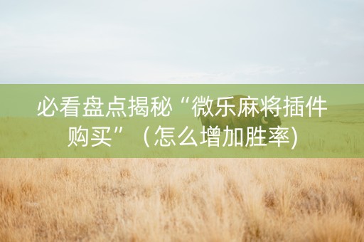 必看盘点揭秘“微乐麻将插件购买”（怎么增加胜率)