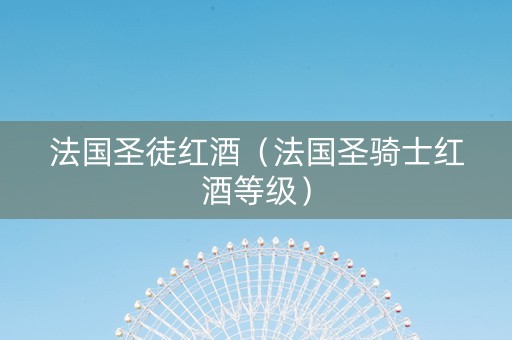 法国圣徒红酒（法国圣骑士红酒等级）