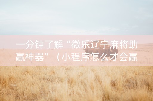 一分钟了解“微乐辽宁麻将助赢神器”（小程序怎么才会赢)