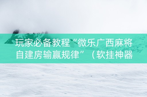 玩家必备教程“微乐广西麻将自建房输赢规律”（软挂神器)