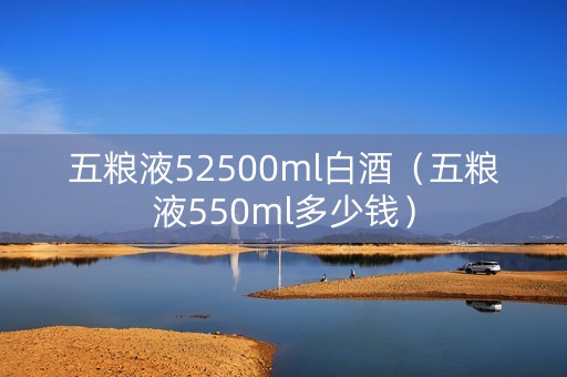 五粮液52500ml白酒（五粮液550ml多少钱）