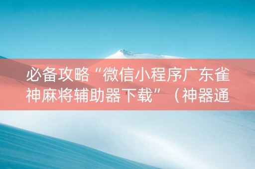 必备攻略“微信小程序广东雀神麻将辅助器下载”（神器通用版)