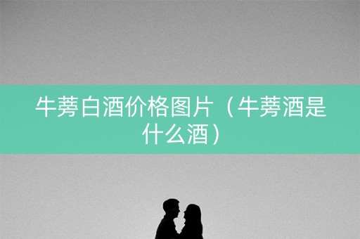 牛蒡白酒价格图片（牛蒡酒是什么酒）