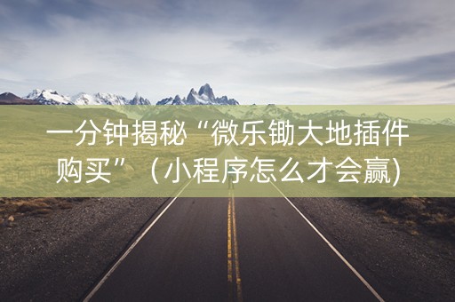 一分钟揭秘“微乐锄大地插件购买”（小程序怎么才会赢)