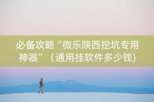必备攻略“微乐陕西挖坑专用神器”（通用挂软件多少钱)