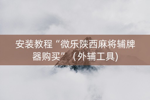 安装教程“微乐陕西麻将辅牌器购买”（外辅工具)