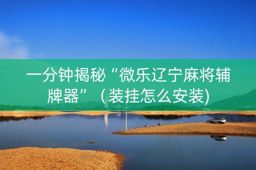 一分钟揭秘“微乐辽宁麻将辅牌器”（装挂怎么安装)
