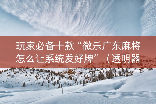 玩家必备十款“微乐广东麻将怎么让系统发好牌”（透明器教程)