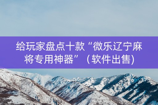 给玩家盘点十款“微乐辽宁麻将专用神器”（软件出售)