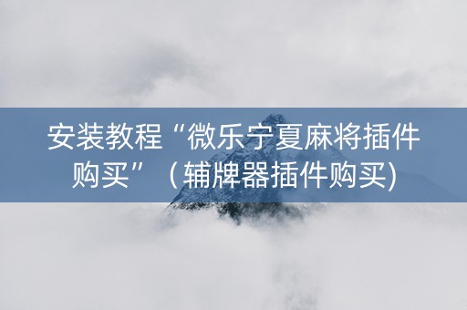 安装教程“微乐宁夏麻将插件购买”（辅牌器插件购买)