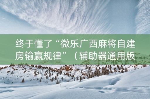 终于懂了“微乐广西麻将自建房输赢规律”（辅助器通用版)