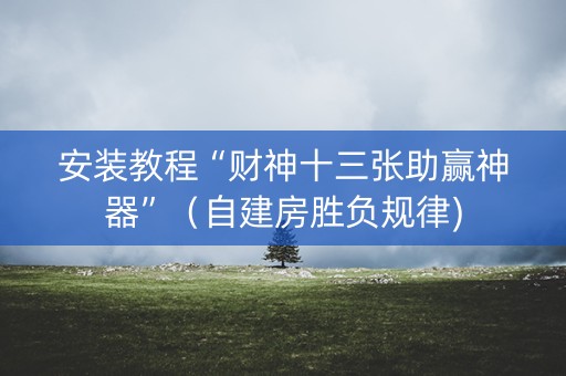 安装教程“财神十三张助赢神器”（自建房胜负规律)