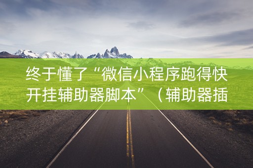 终于懂了“微信小程序跑得快开挂辅助器脚本”（辅助器插件)