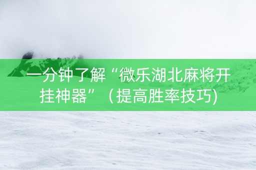 一分钟了解“微乐湖北麻将开挂神器”（提高胜率技巧)
