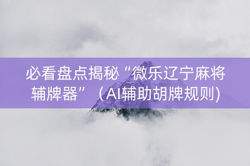 必看盘点揭秘“微乐辽宁麻将辅牌器”（AI辅助胡牌规则)