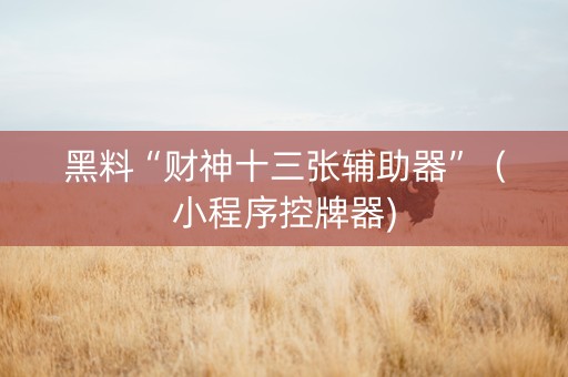 黑料“财神十三张辅助器”（小程序控牌器)