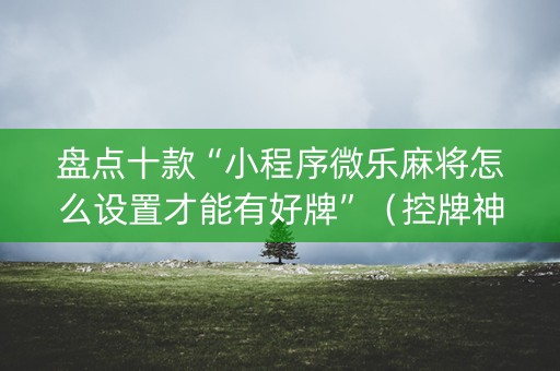 盘点十款“小程序微乐麻将怎么设置才能有好牌”（控牌神器)