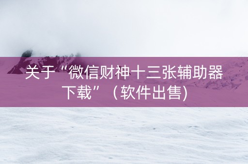 关于“微信财神十三张辅助器下载”（软件出售)